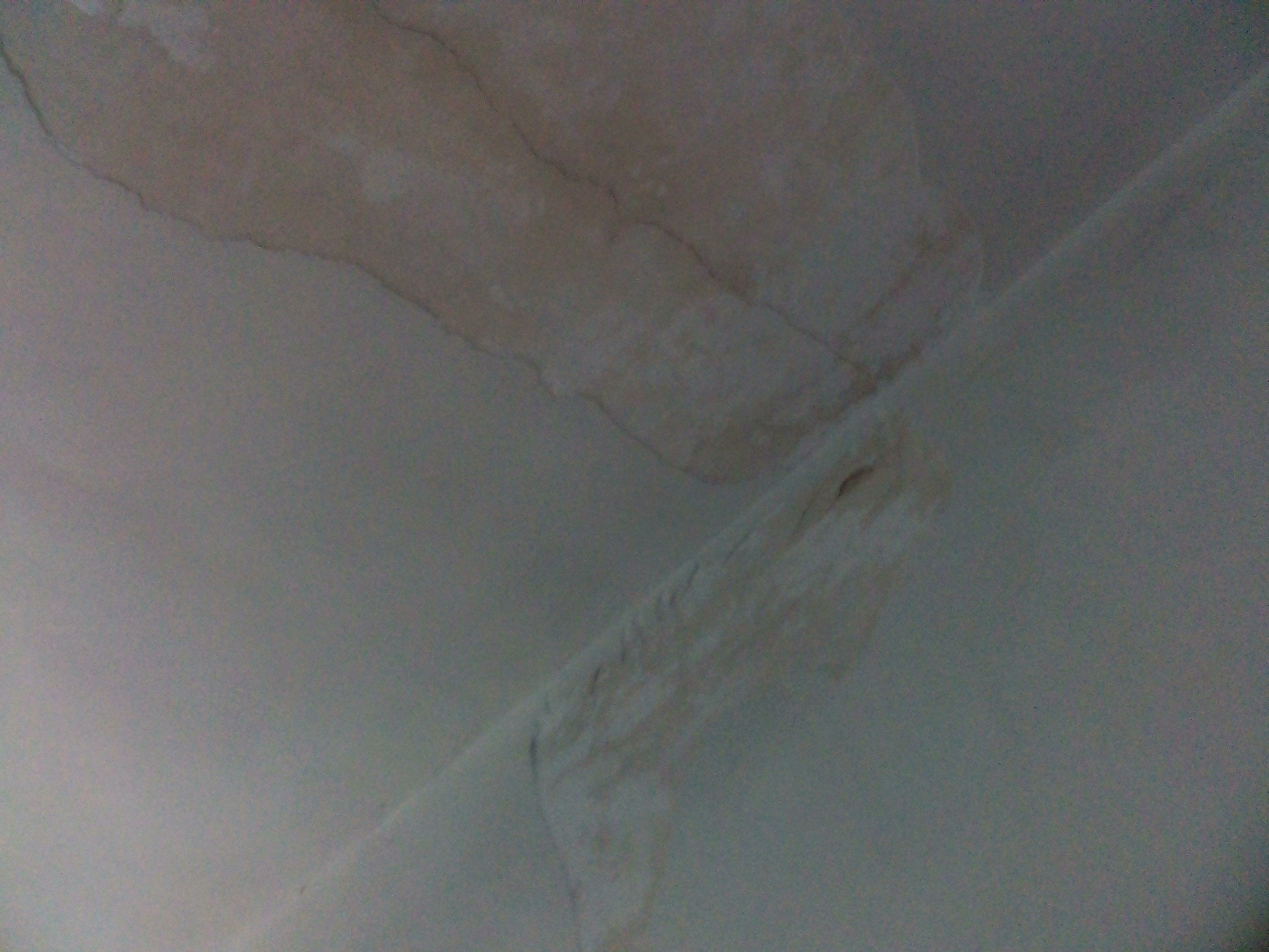 知己知辟百战不殆的主播照片