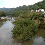 樱花树下樱花雨