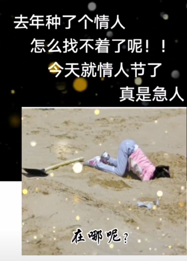 丑小鸭💞愿有一束光的图片