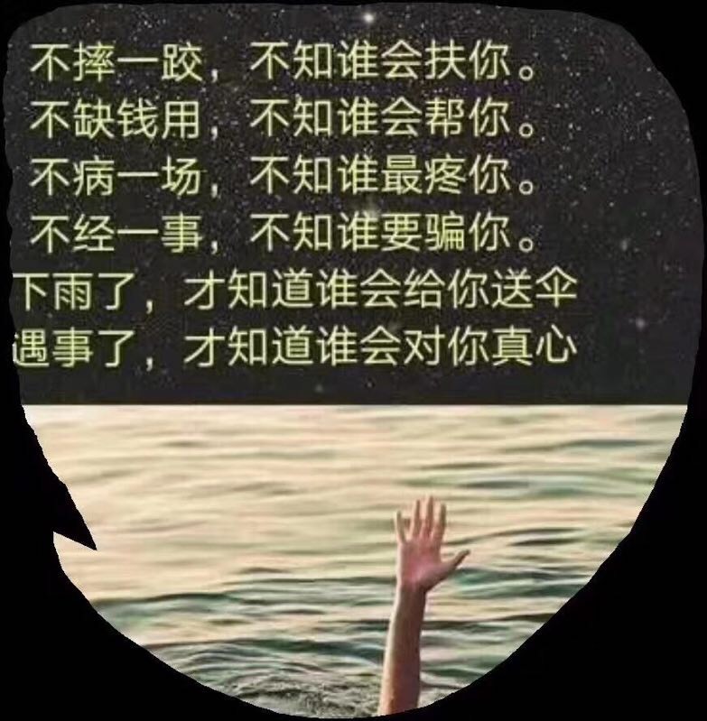 就是个谎的主播照片