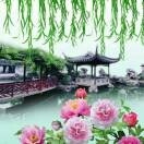 孤独zpe的头像