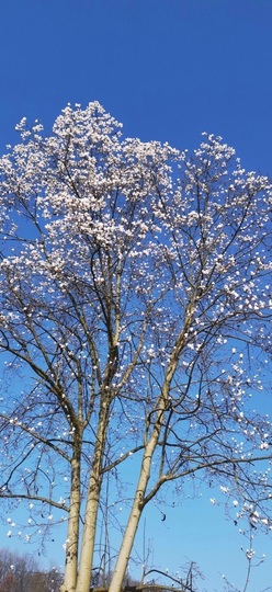 唯爱🌺小艾主播照片