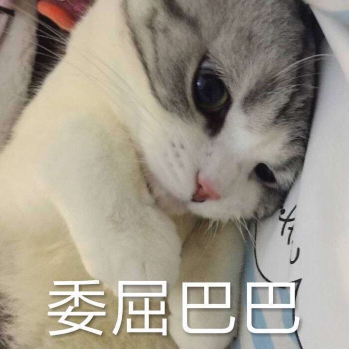 虹宝❣️的图片