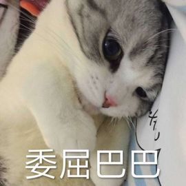 虹宝❣唱歌晚11点主播照片