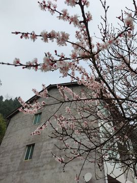 凑美没人爱主播照片