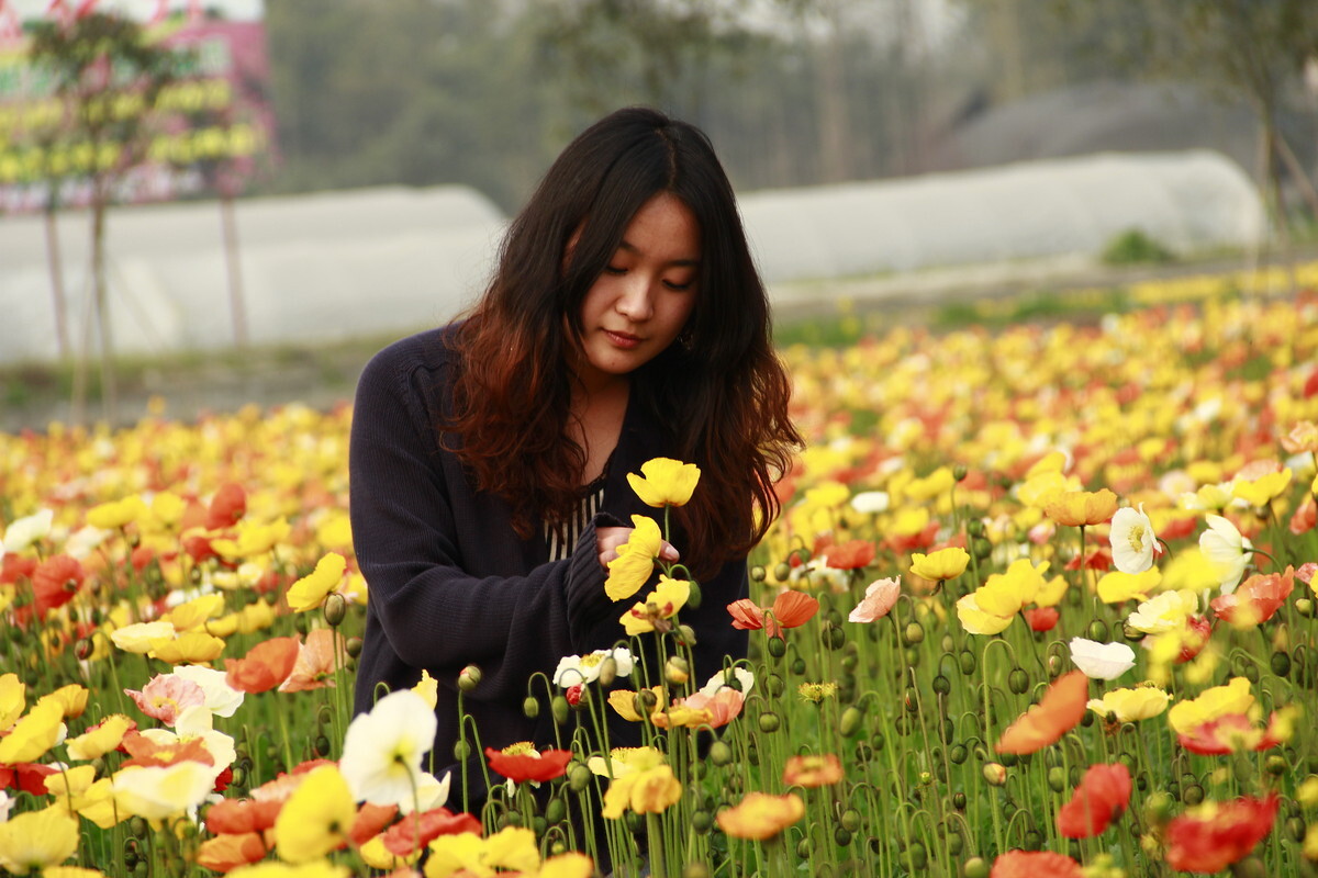 ℒℴvℯ一念❀花开❀的主播照片