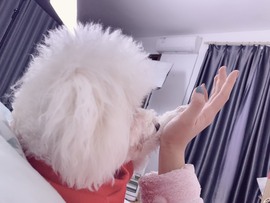 退网了，谢谢大家关心主播照片