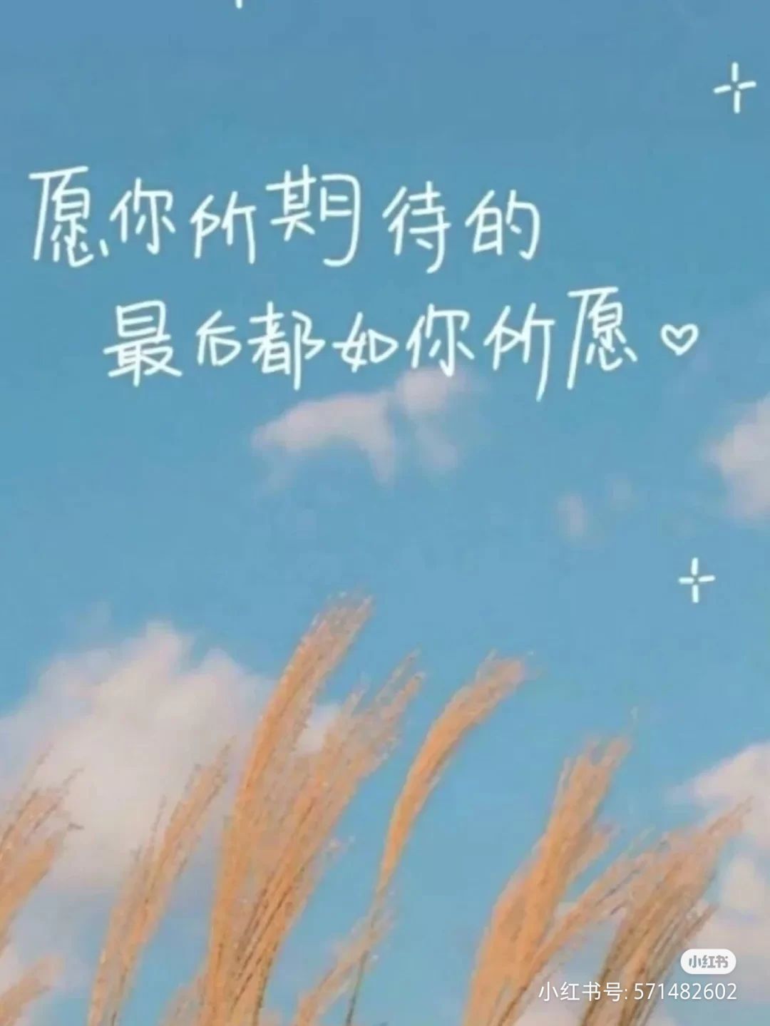 依芝の求心软的神！的图片