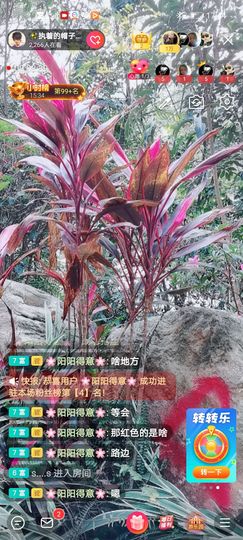 🌈【镹🉐䒚哖】主播照片