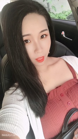 茶茶幸运星的图片