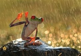 დ释怀დ主播照片