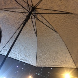 小皮球哟主播照片