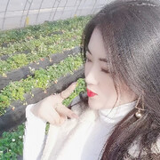 小游客330海报