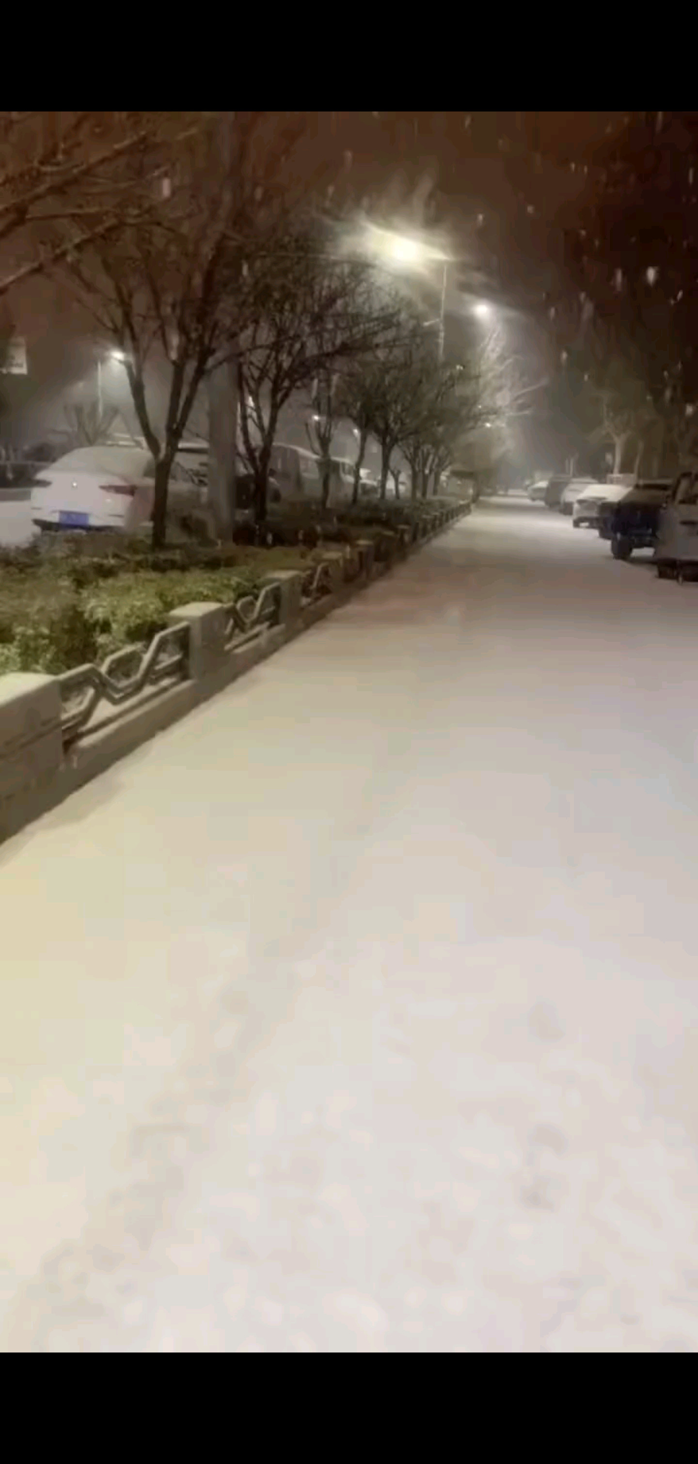 年年落雪，雪落年年，