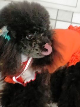 🏆单单💘💘主播照片