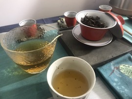 茶茶幸运星主播照片