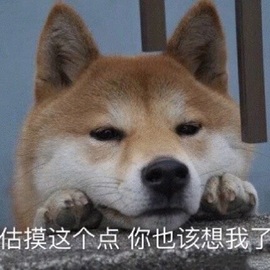 鑫儿～主播照片