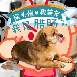 奋斗小伙x7主播照片