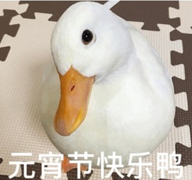 夏目~主播照片