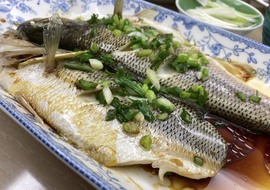 周七周七周七主播照片
