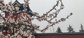 小阿琳🎶主播照片