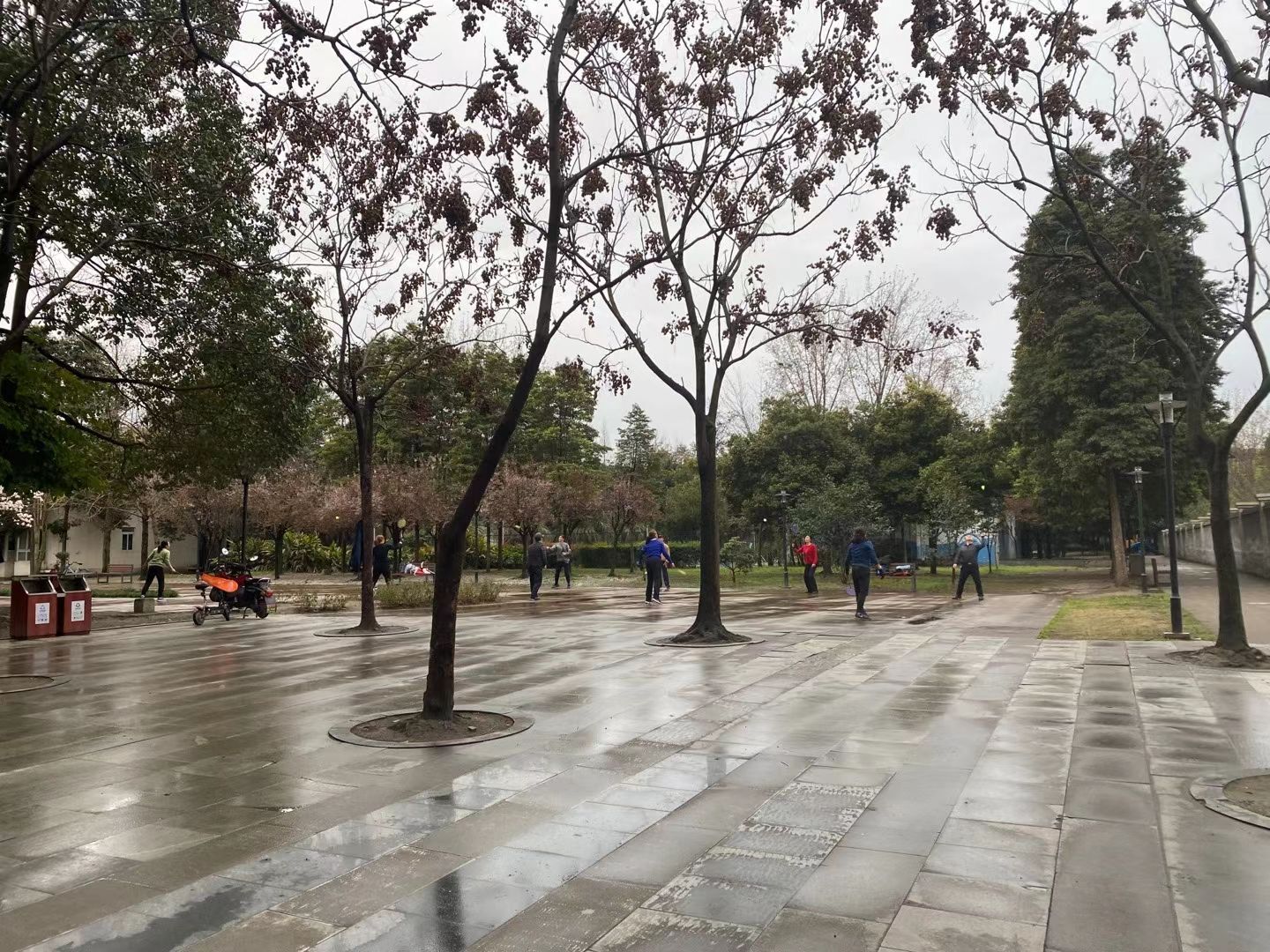 安琪同学的图片