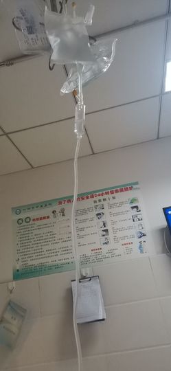 👑䒕暖宝好运旺旺旺主播照片