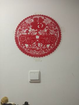 梦落梧桐主播照片