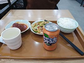 大军带你游玩上海主播照片