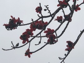 星宇🌟主播照片