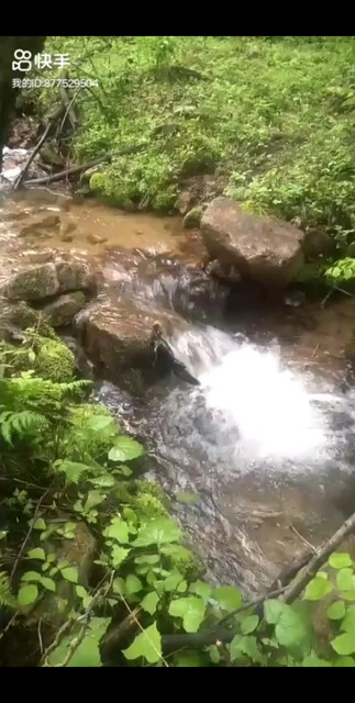 有山有水，景色多美呀