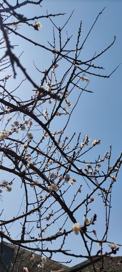 小阿琳🎶主播照片