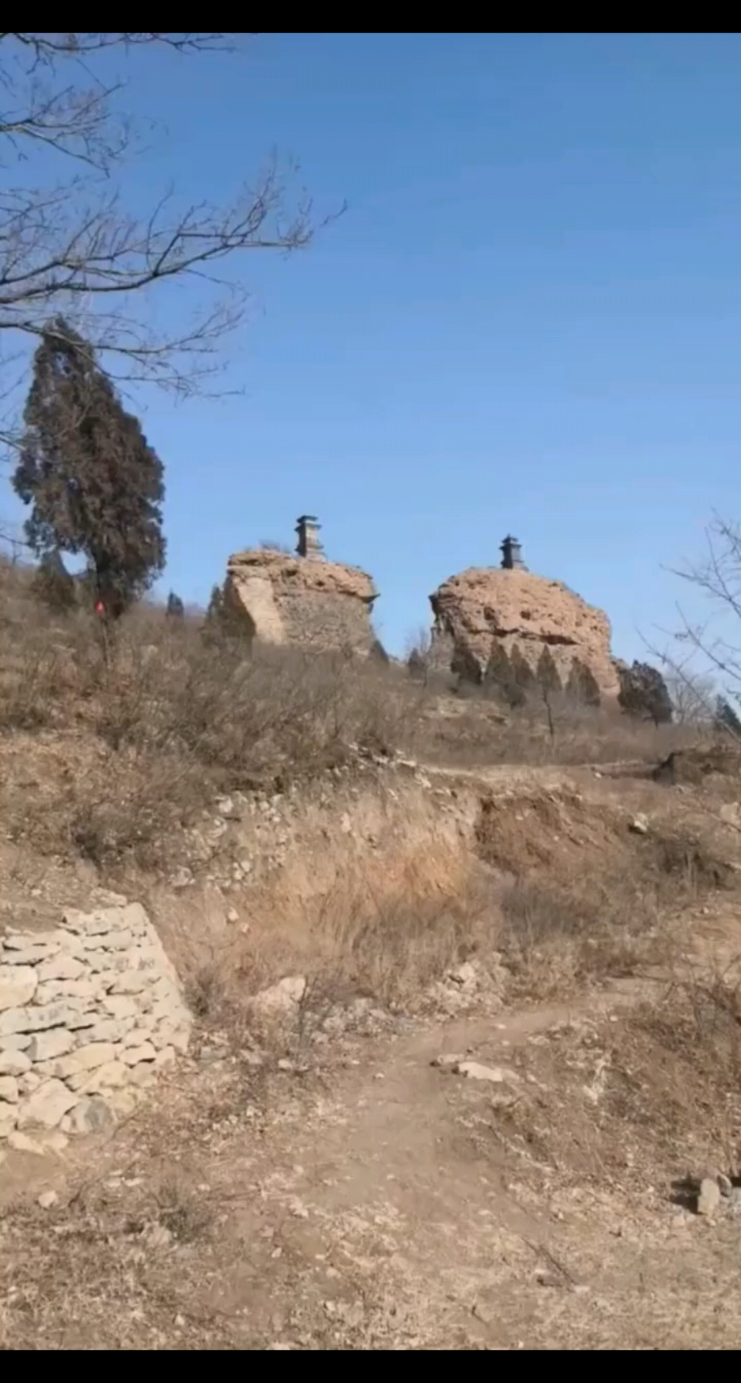 美丽的风景