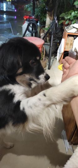 琳💅娜主播照片