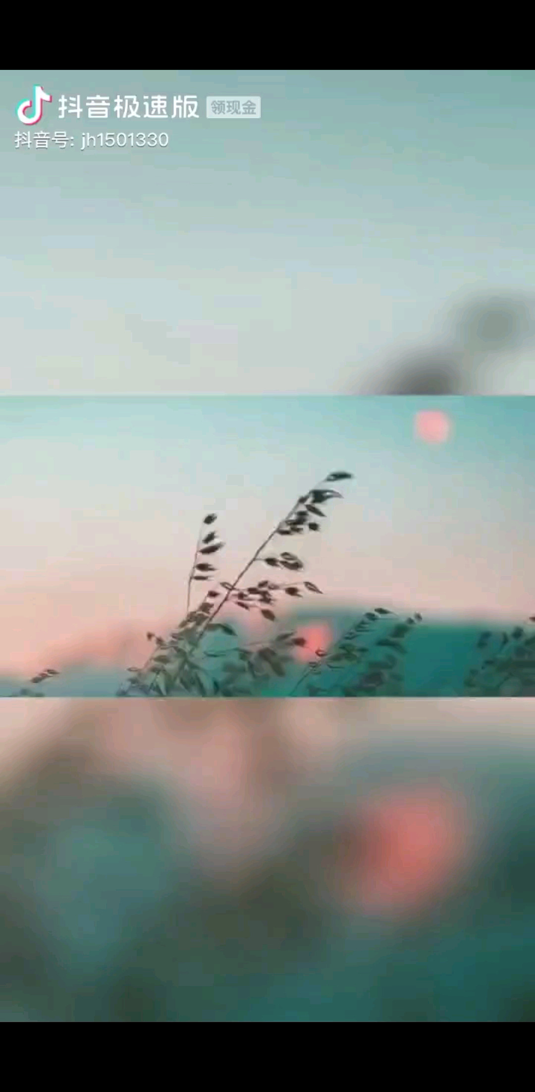 说的有道理