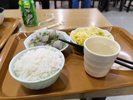 大军带你游玩上海主播照片