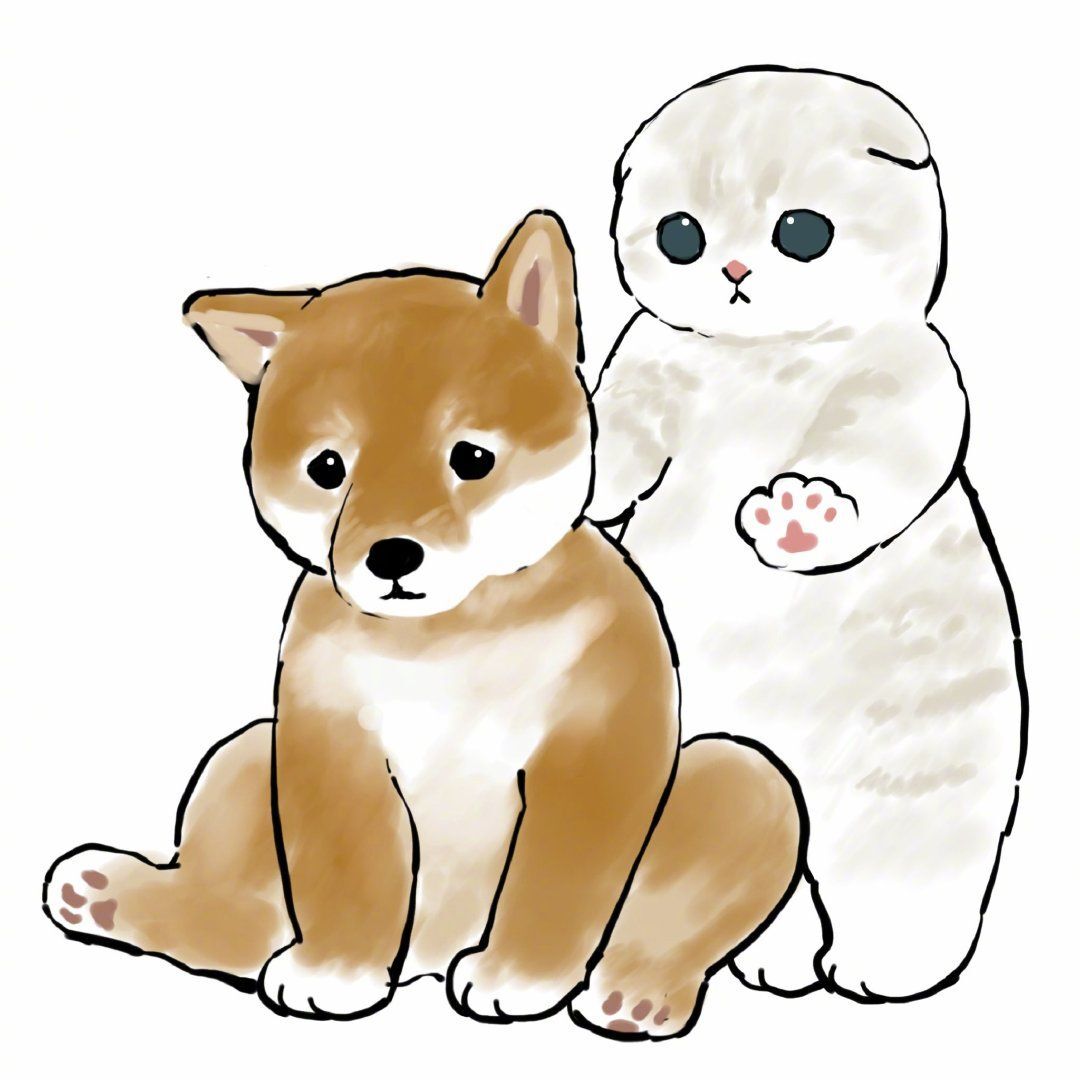胖胖胖胖、胖达的主播照片