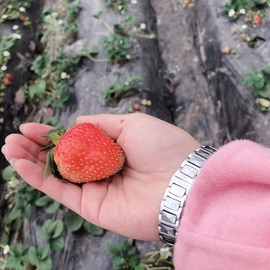 唯爱🌺小艾主播照片