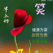 北极光*j