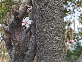 大家再见退了！主播照片
