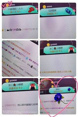 *菜园子*主播照片