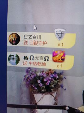 *菜园子*主播照片