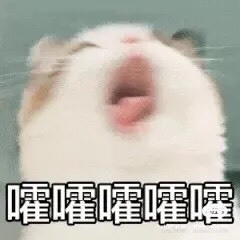 8191🎤夏小夏主播照片