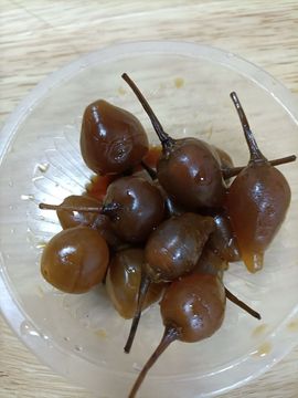 👑䒕暖宝好运旺旺旺主播照片