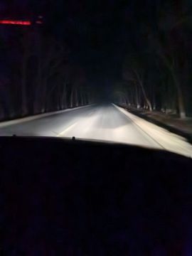 m萍儿主播照片