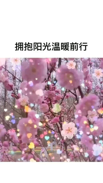 早安/美女/靓仔心情