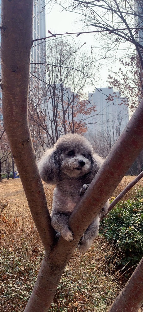 森林小懒猫福宝的主播照片