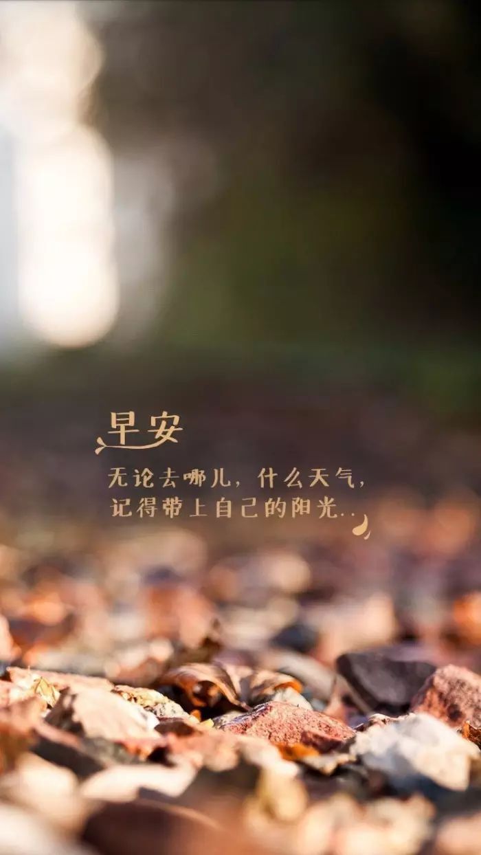 依芝の求心软的神！的图片