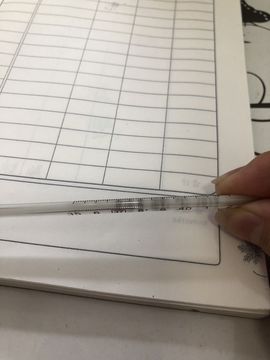 👑䒕暖宝好运旺旺旺主播照片