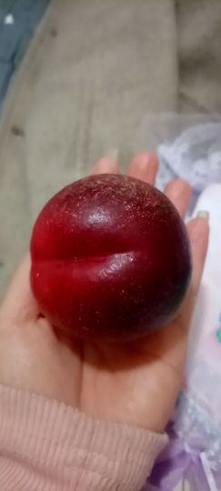 👑䒕暖宝好运旺旺旺主播照片